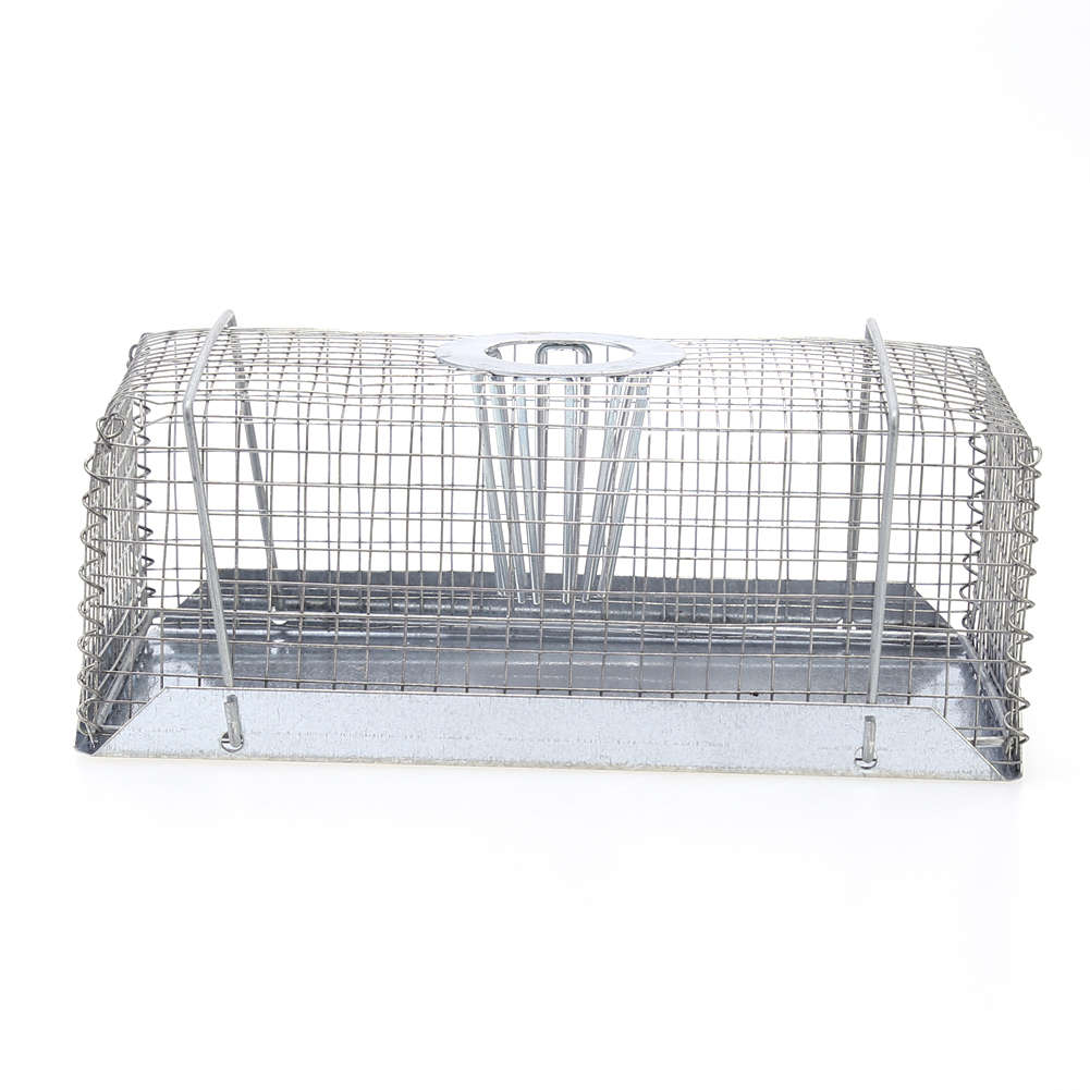 mouse traps for sale