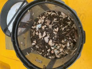 Mosquitoes caught in Australia using Exterminator Mosquito Trap