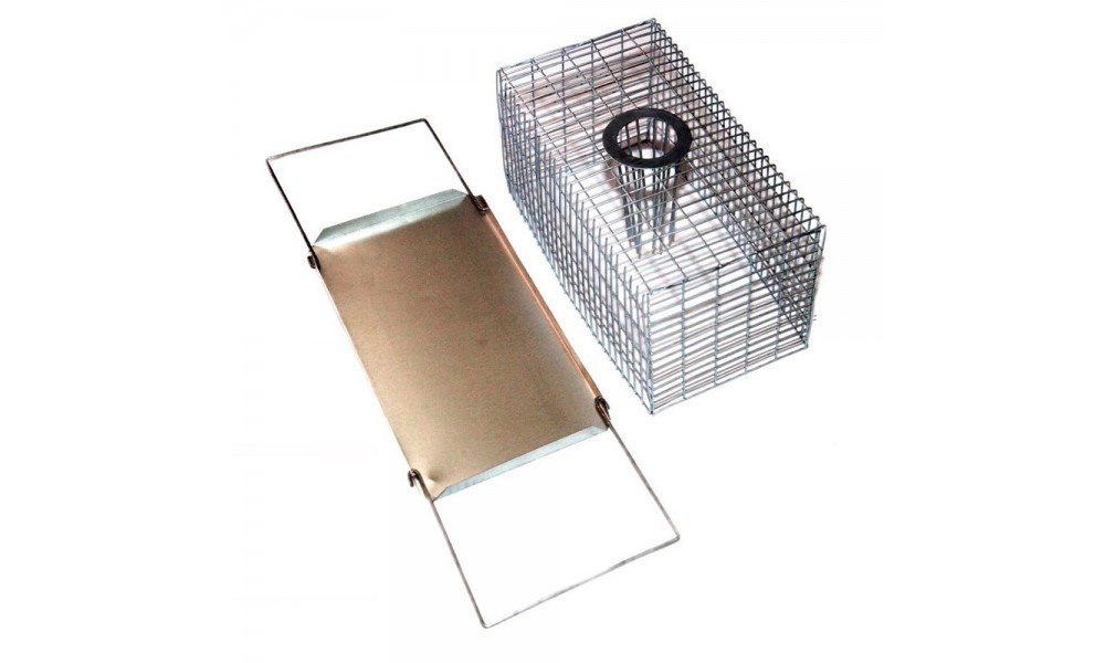 mouse catching cage