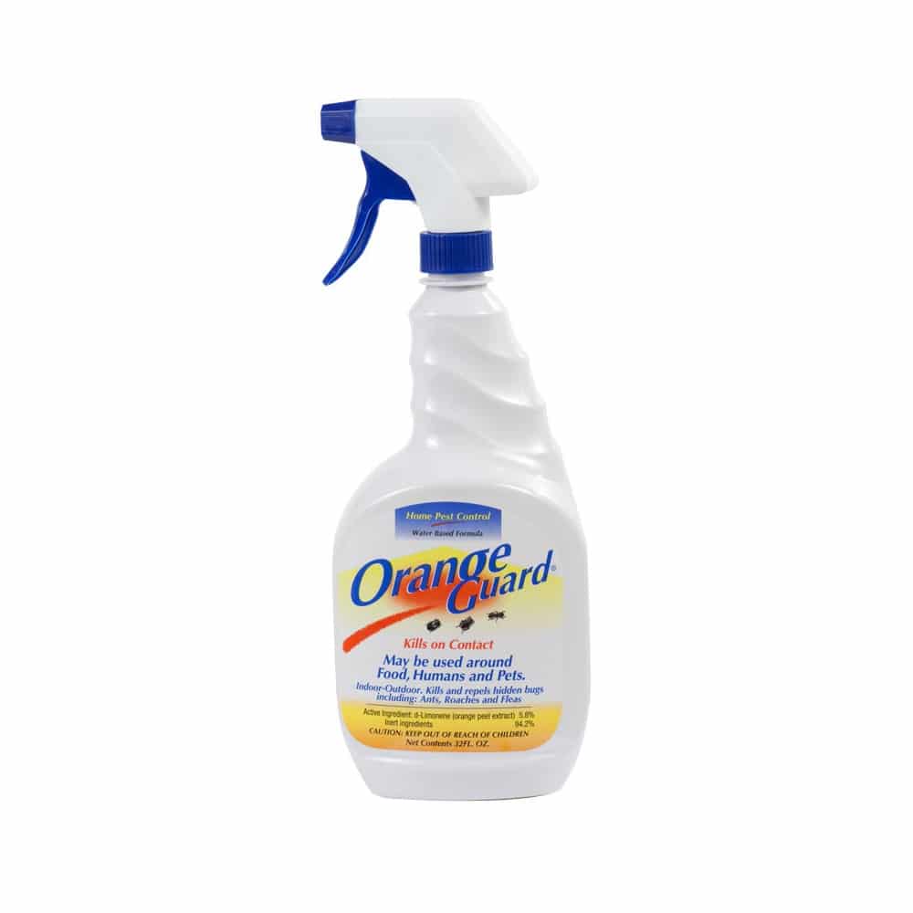 orange pest control
