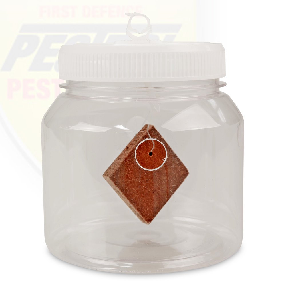 outdoor fruit fly trap