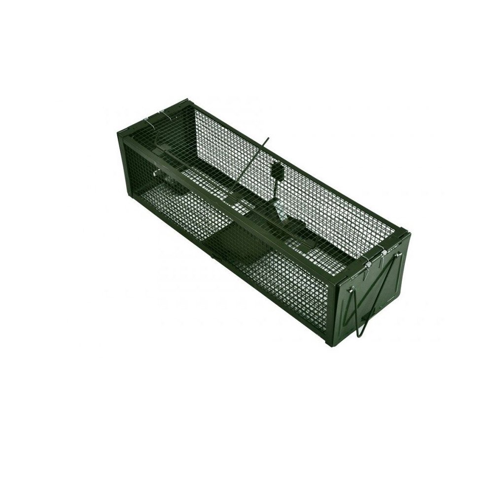 small rodent traps