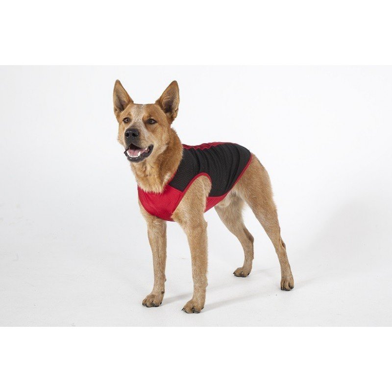 Dogz Body Insect Protector
