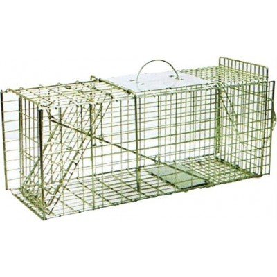 Humane possum trap and rodent traps