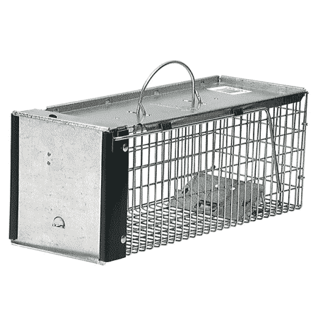 small rodent traps