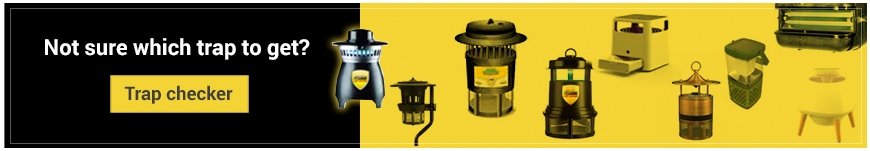 best mosquito traps 2015