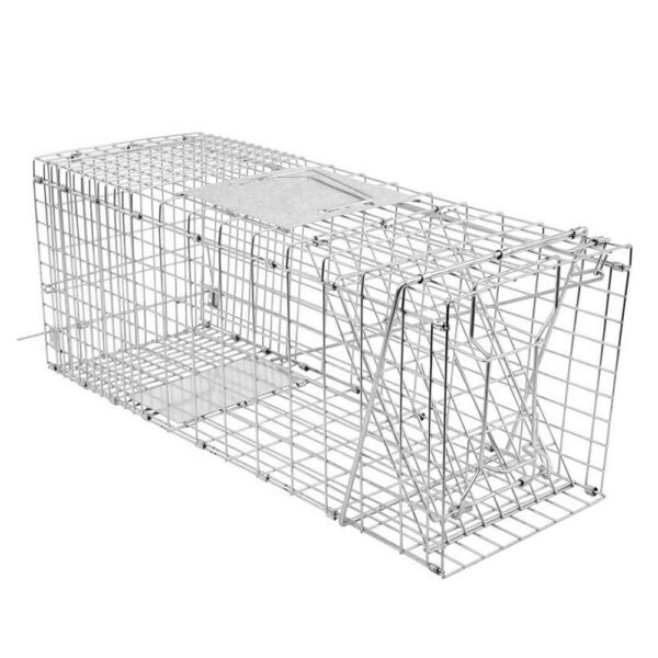 Possum trap