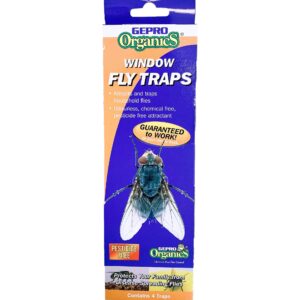 Window Fly Traps