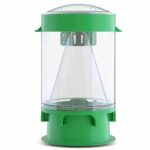 Predator Outdoor Fly Trap
