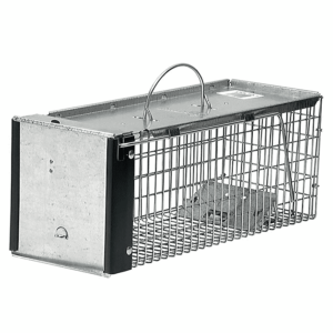 rodent trap