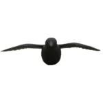 Flying Black Crow Repellent Decoy