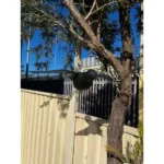 Flying Black Crow Repellent Decoy