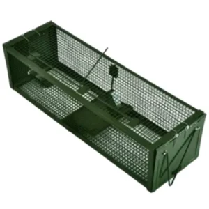 https://www.pestrol.com.au/wp-content/uploads/2020/10/Double-Ended-Rodent-Trap-300x300.webp