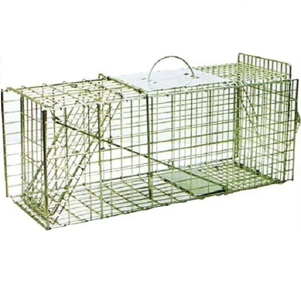 Trapping of feral cats-using soft net traps - PestSmart