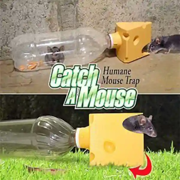Make a Simple Humane Mouse Trap with a Soda Bottle