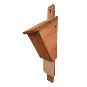 Side view of wooden, wedge shaped microbat nesting box.