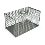 Large multi-catch rat trap for humane rodent control
