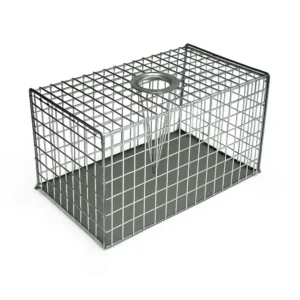 Large multi-catch rat trap for humane rodent control