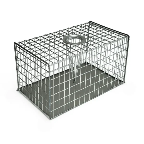 Large multi-catch rat trap for humane rodent control