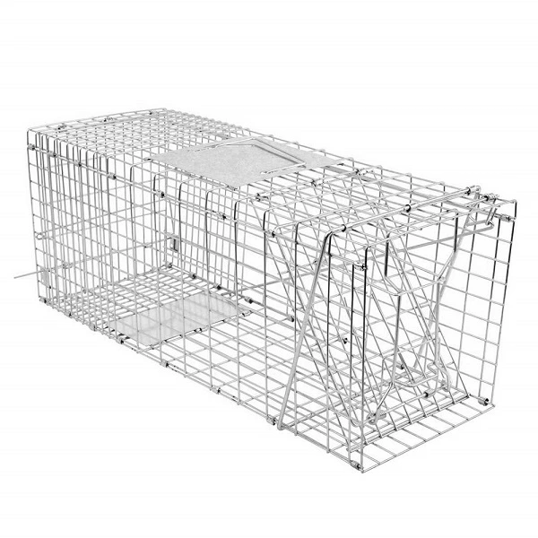 https://www.pestrol.com.au/wp-content/uploads/2020/10/Possum-Trap.webp