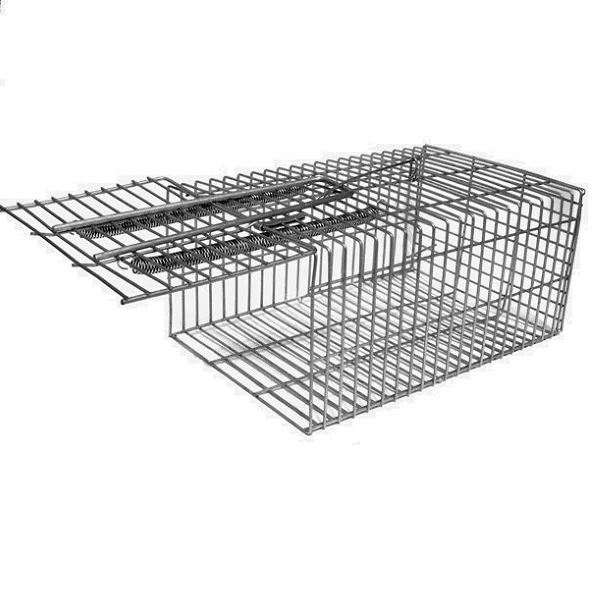 https://www.pestrol.com.au/wp-content/uploads/2020/10/Single-Catch-Rat-Trap-Opened.webp