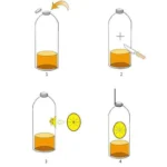 Soda Bottle Wasp Trap