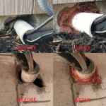 Rodent Copper Mesh on Pipe