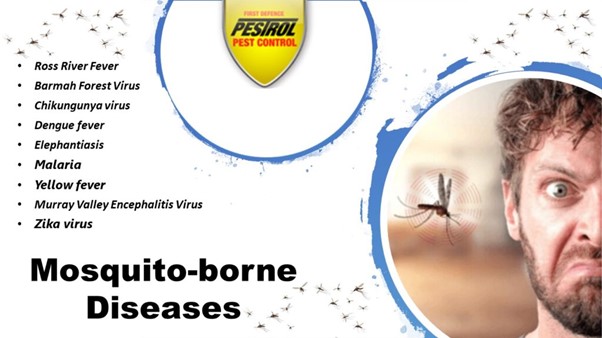 Mosquito borne diseases