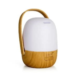 Rechargeable Oil Diffuser