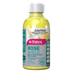 20 mL bottle of Yates Rose Shield Concentrate, a multipurpose aphid spray for roses.
