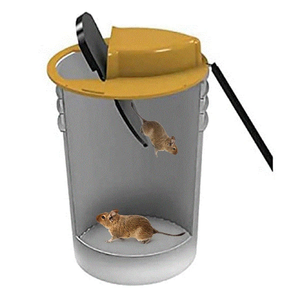 Multi Catch Mouse Trap Self Catching Mice Control Rodent Catcher