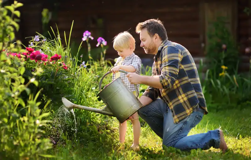 Spring gardening tips