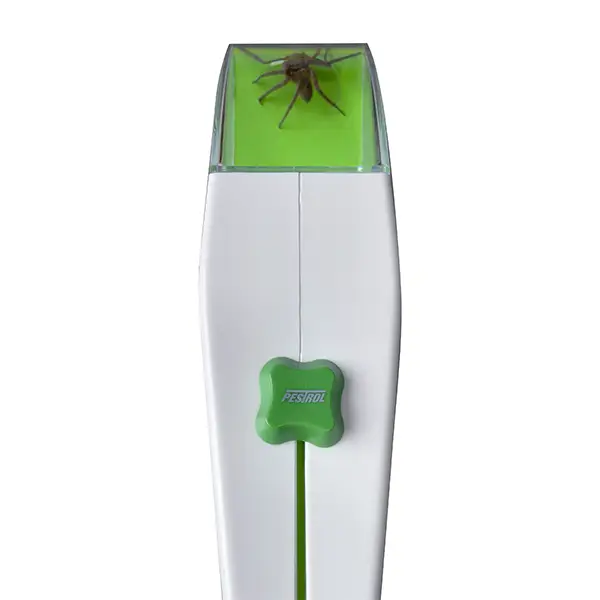 Easy to use bug catcher