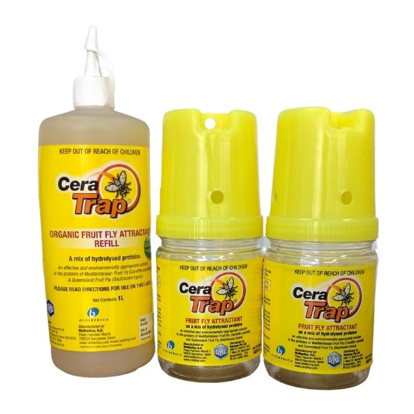 Cera Trap Fruit Fly Trap Kits - Pestrol Australia