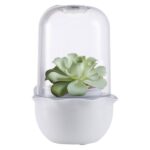 Mr. Fothergill's Succulent Grow Pod