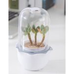 Mr. Fothergill's Succulent Grow Pod