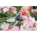 Darlac Expert Bypass Pruner