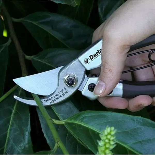 Japanese Steel Pruning Shears