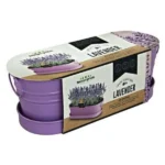 Mr. Fothergill's Windowsill Tin