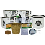 Mr. Fothergill's Grow & Brew Tea Kit