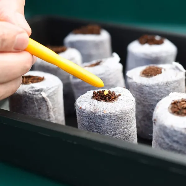 Coconut Coir Germination Pellets - 36 Pack