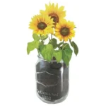 Mason Jar Grow Kit - Sunflower