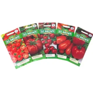 DT Brown Tomato Seed Bundle