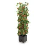 Mr. Fothergill's Tomato Growing Tower Kit