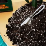 Plant Runner Aroid Potting Mix 15L