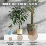 Pot Plant Soil Guard
