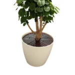 Pot Plant Soil Guard