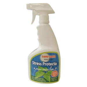 David Grays Stress Protector