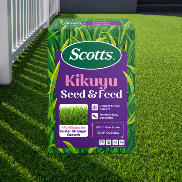 Scotts Lawn Builder Seed & Feed Kikuyu 1.4kg applied to a patchy Kikuyu lawn