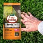 Scotts Lawn Builder Seed & Turf Starter 2.5kg - Boosts Lawn Growth